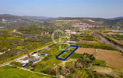Menemen Görece Hacıhasanlar'da Satılık Tarla