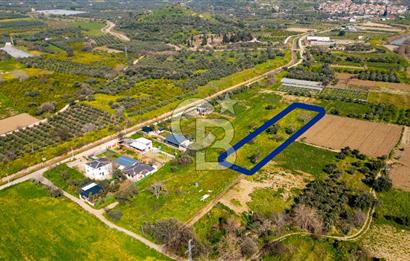 Menemen Görece Hacıhasanlar'da Satılık Tarla