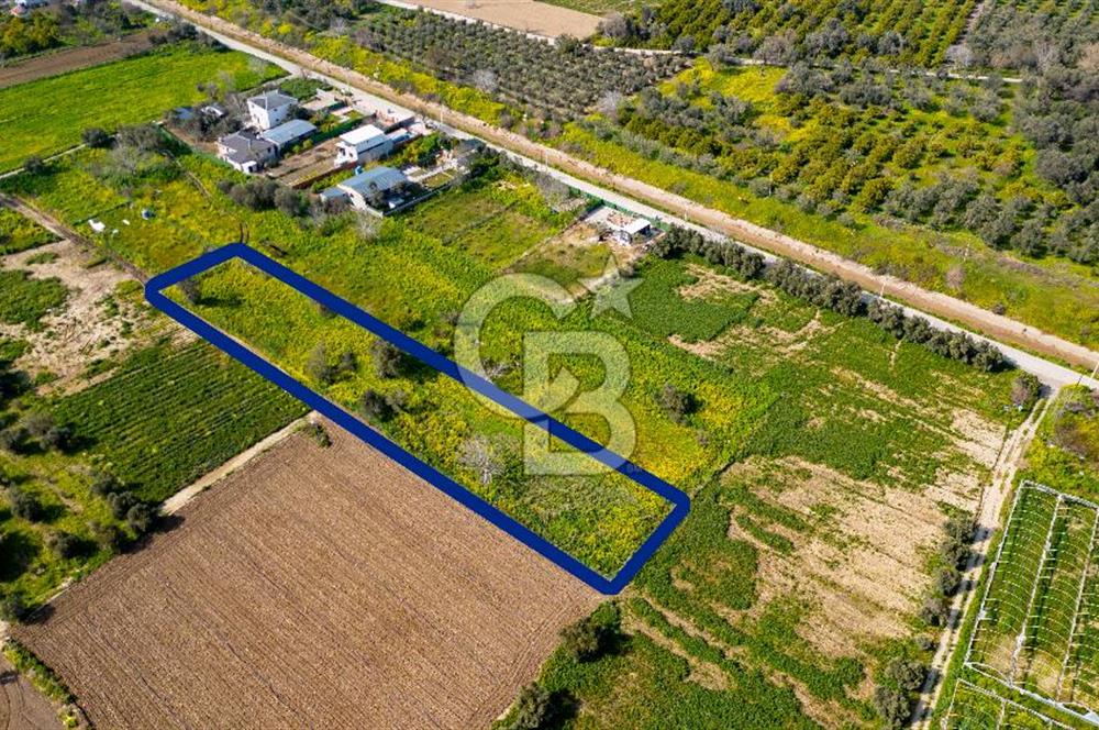 Menemen Görece Hacıhasanlar'da Satılık Tarla