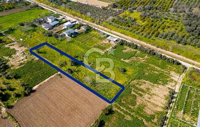 Menemen Görece Hacıhasanlar'da Satılık Tarla