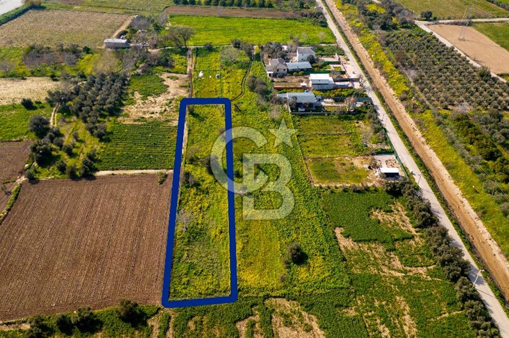 Menemen Görece Hacıhasanlar'da Satılık Tarla