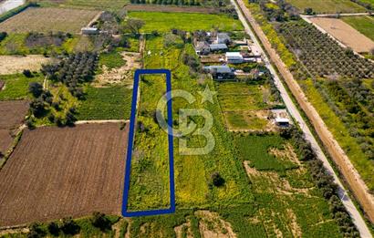 Menemen Görece Hacıhasanlar'da Satılık Tarla