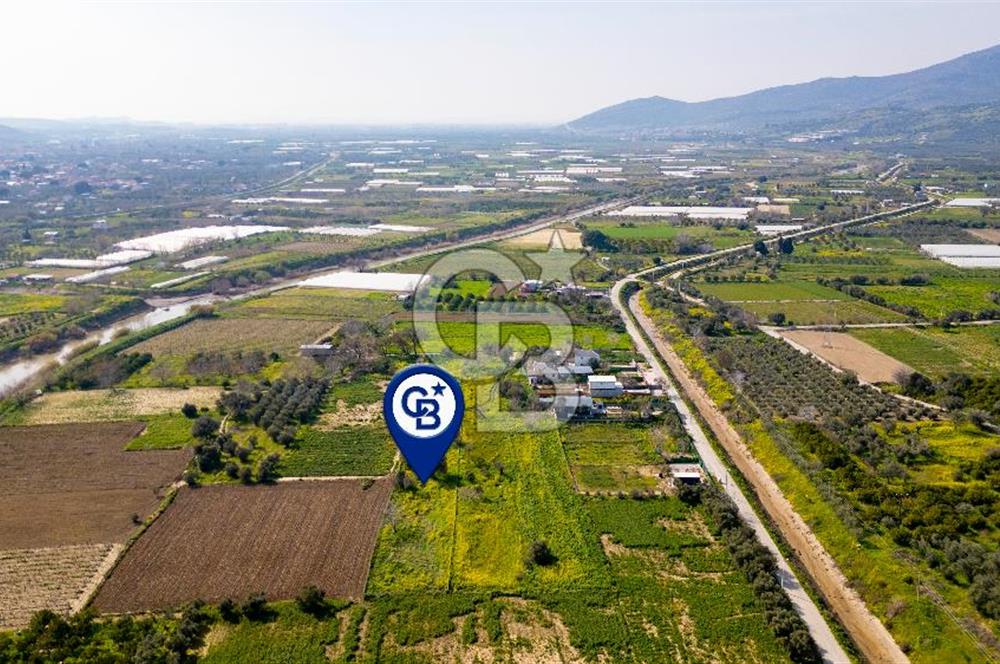 Menemen Görece Hacıhasanlar'da Satılık Tarla