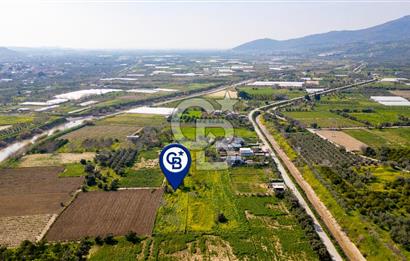 Menemen Görece Hacıhasanlar'da Satılık Tarla