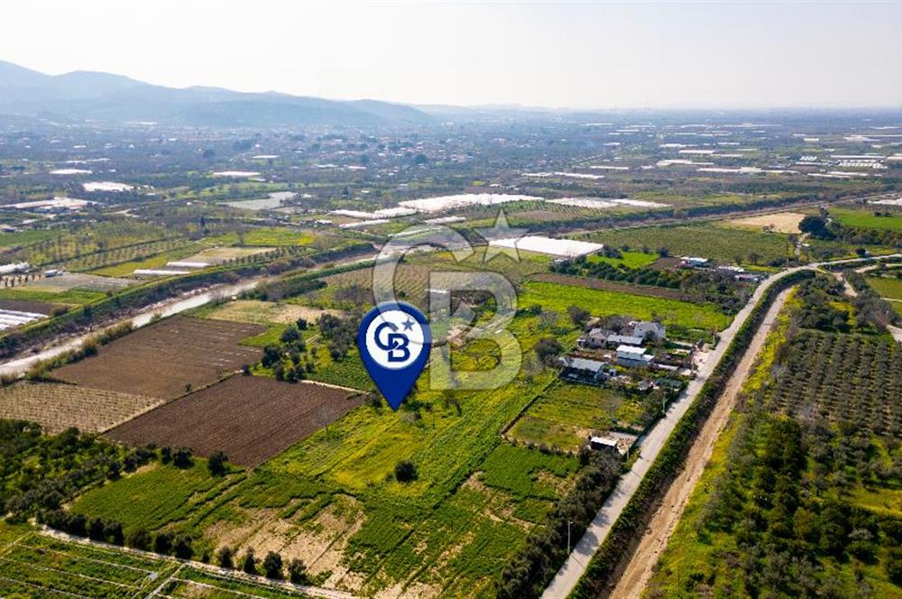 Menemen Görece Hacıhasanlar'da Satılık Tarla