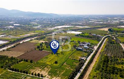 Menemen Görece Hacıhasanlar'da Satılık Tarla