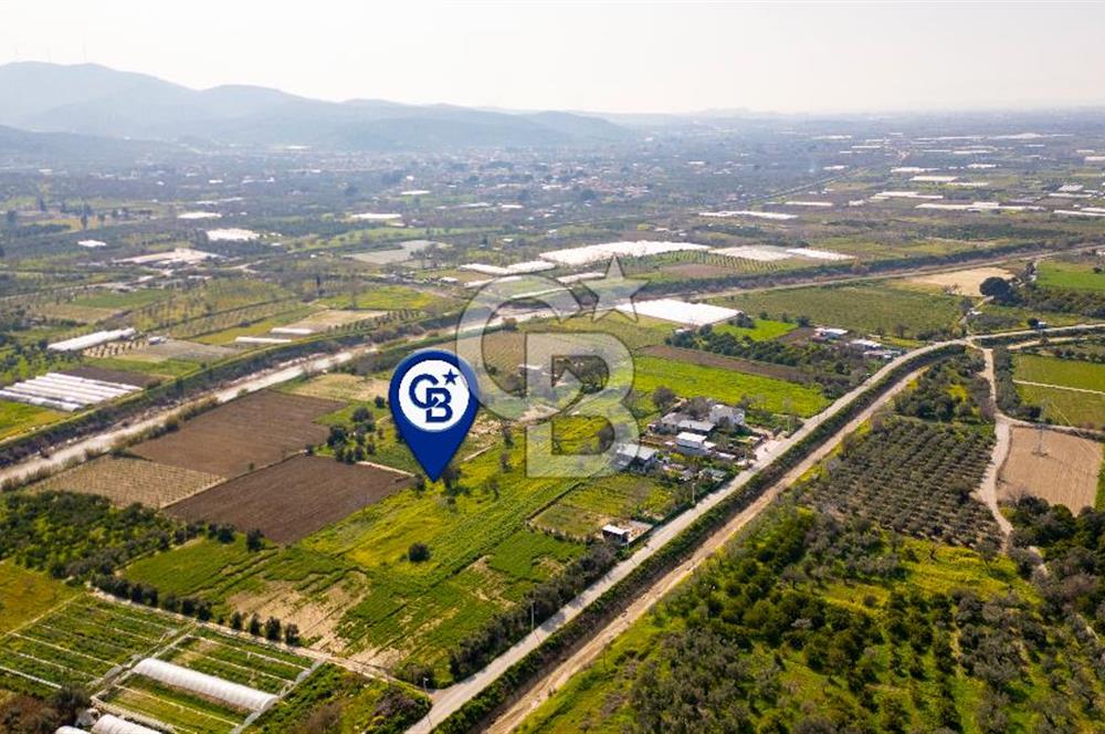 Menemen Görece Hacıhasanlar'da Satılık Tarla