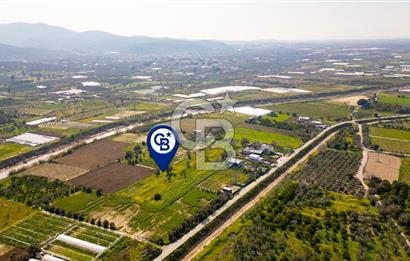 Menemen Görece Hacıhasanlar'da Satılık Tarla