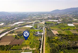 Menemen Görece Hacıhasanlar'da Satılık Tarla - 1 - 338818