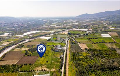 Menemen Görece Hacıhasanlar'da Satılık Tarla