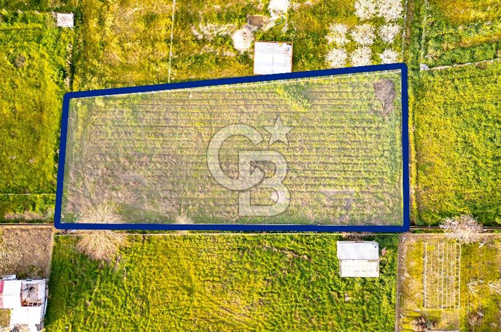 Menemen Buruncukta Satılık Müstakil Tapulu Tarla