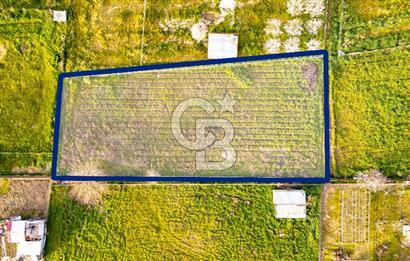 Menemen Buruncukta Satılık Müstakil Tapulu Tarla