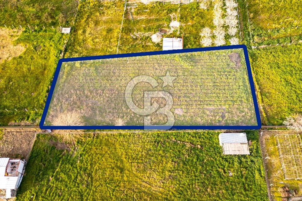 Menemen Buruncukta Satılık Müstakil Tapulu Tarla