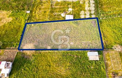 Menemen Buruncukta Satılık Müstakil Tapulu Tarla