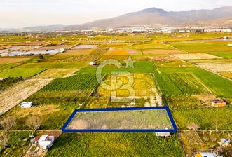 Menemen Buruncukta Satılık Müstakil Tapulu Tarla - 1 - 338814