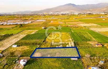 Menemen Buruncukta Satılık Müstakil Tapulu Tarla
