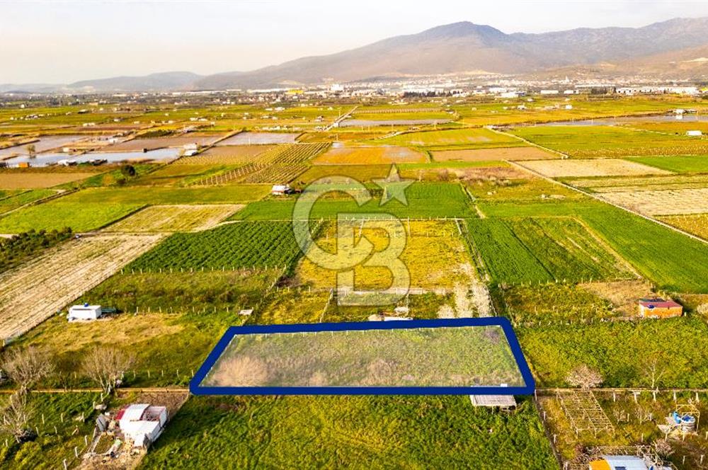 Menemen Buruncukta Satılık Müstakil Tapulu Tarla
