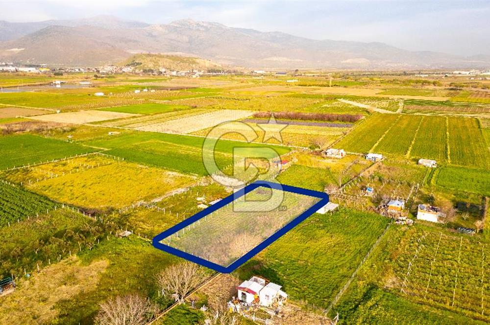 Menemen Buruncukta Satılık Müstakil Tapulu Tarla
