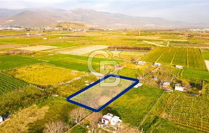Menemen Buruncukta Satılık Müstakil Tapulu Tarla