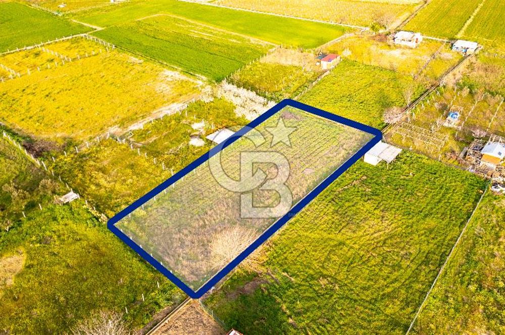 Menemen Buruncukta Satılık Müstakil Tapulu Tarla