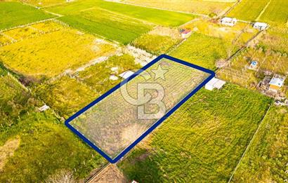 Menemen Buruncukta Satılık Müstakil Tapulu Tarla