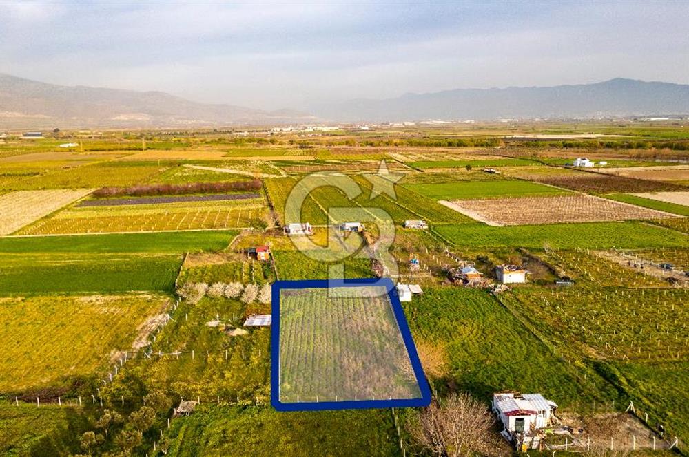 Menemen Buruncukta Satılık Müstakil Tapulu Tarla