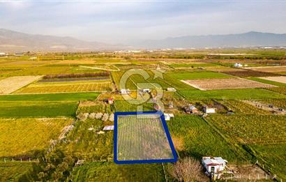 Menemen Buruncukta Satılık Müstakil Tapulu Tarla