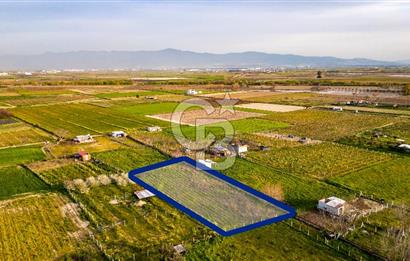 Menemen Buruncukta Satılık Müstakil Tapulu Tarla