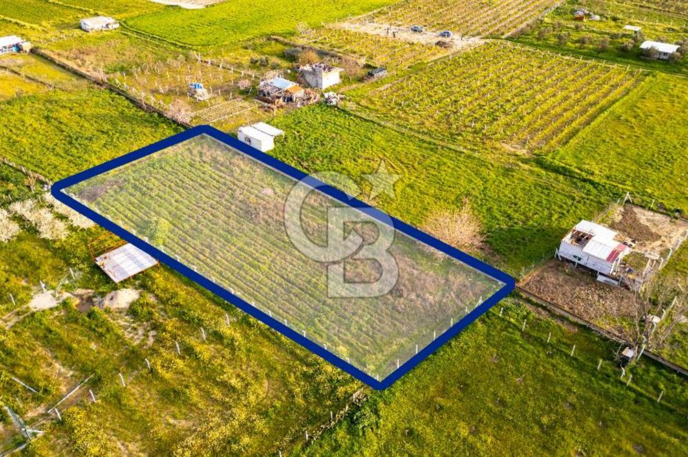 Menemen Buruncukta Satılık Müstakil Tapulu Tarla