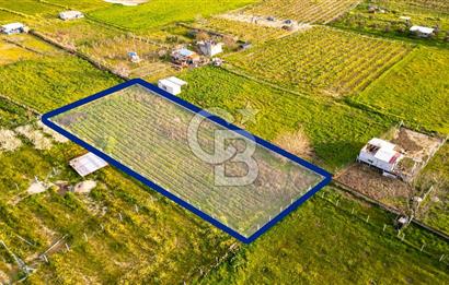 Menemen Buruncukta Satılık Müstakil Tapulu Tarla