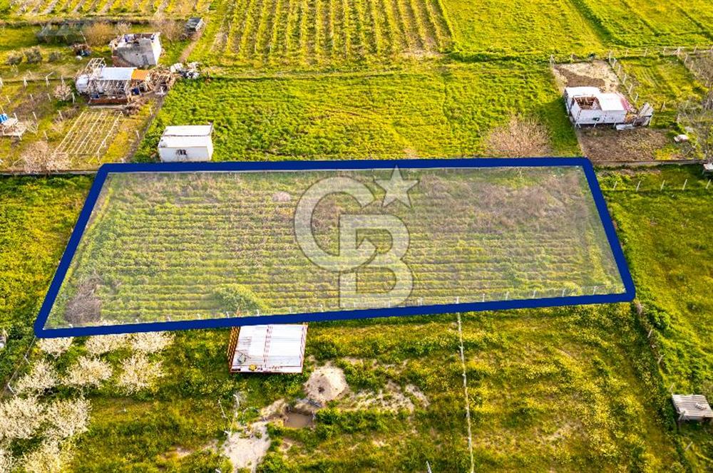 Menemen Buruncukta Satılık Müstakil Tapulu Tarla