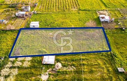 Menemen Buruncukta Satılık Müstakil Tapulu Tarla