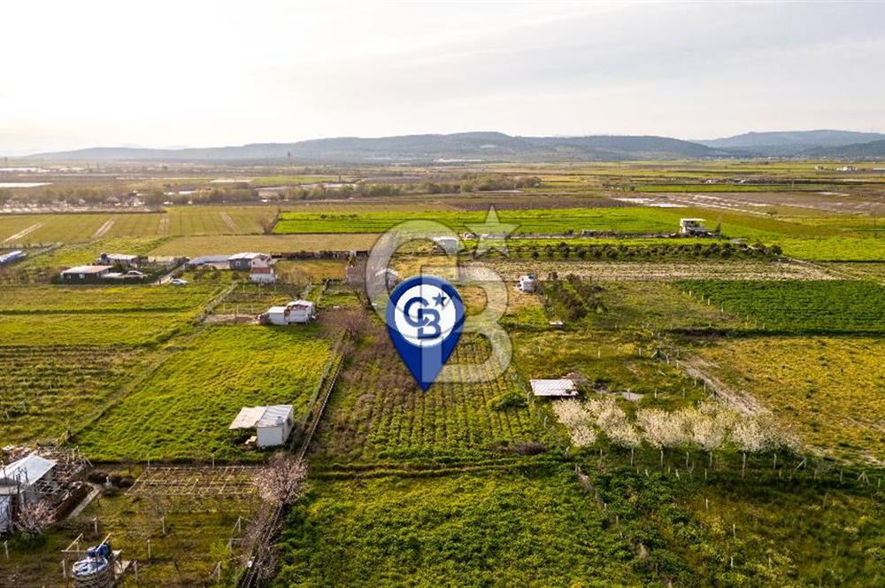 Menemen Buruncukta Satılık Müstakil Tapulu Tarla