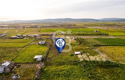 Menemen Buruncukta Satılık Müstakil Tapulu Tarla