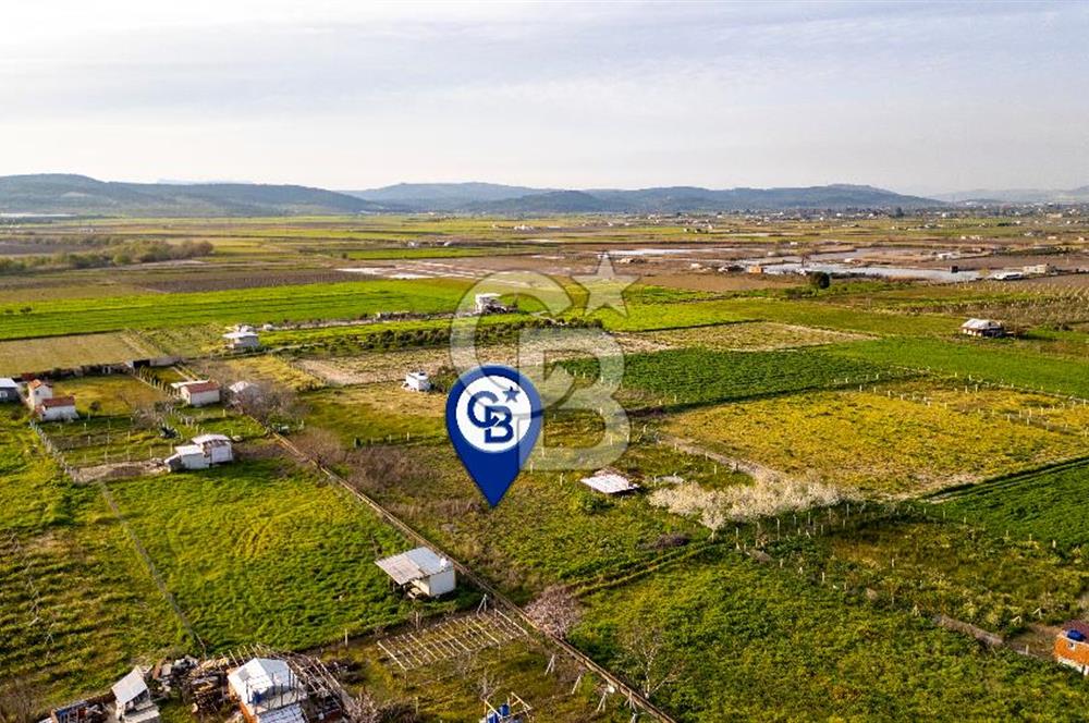 Menemen Buruncukta Satılık Müstakil Tapulu Tarla