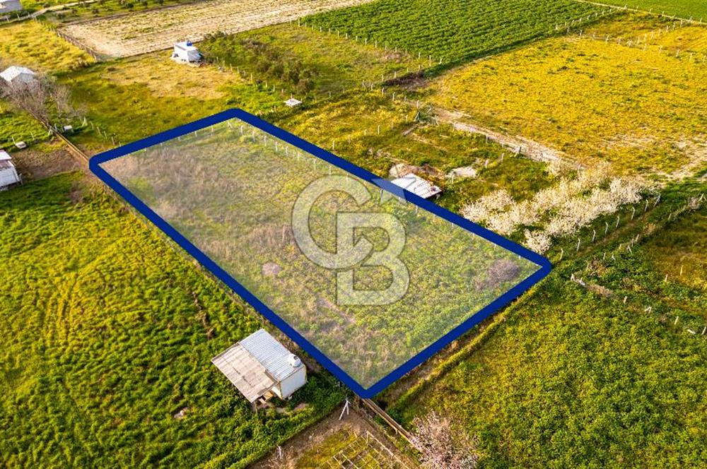 Menemen Buruncukta Satılık Müstakil Tapulu Tarla