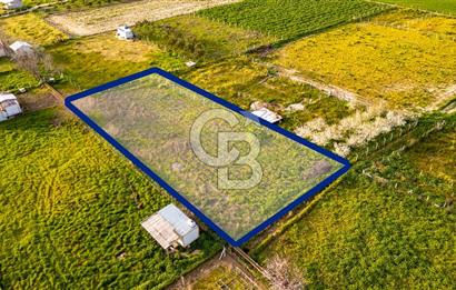 Menemen Buruncukta Satılık Müstakil Tapulu Tarla