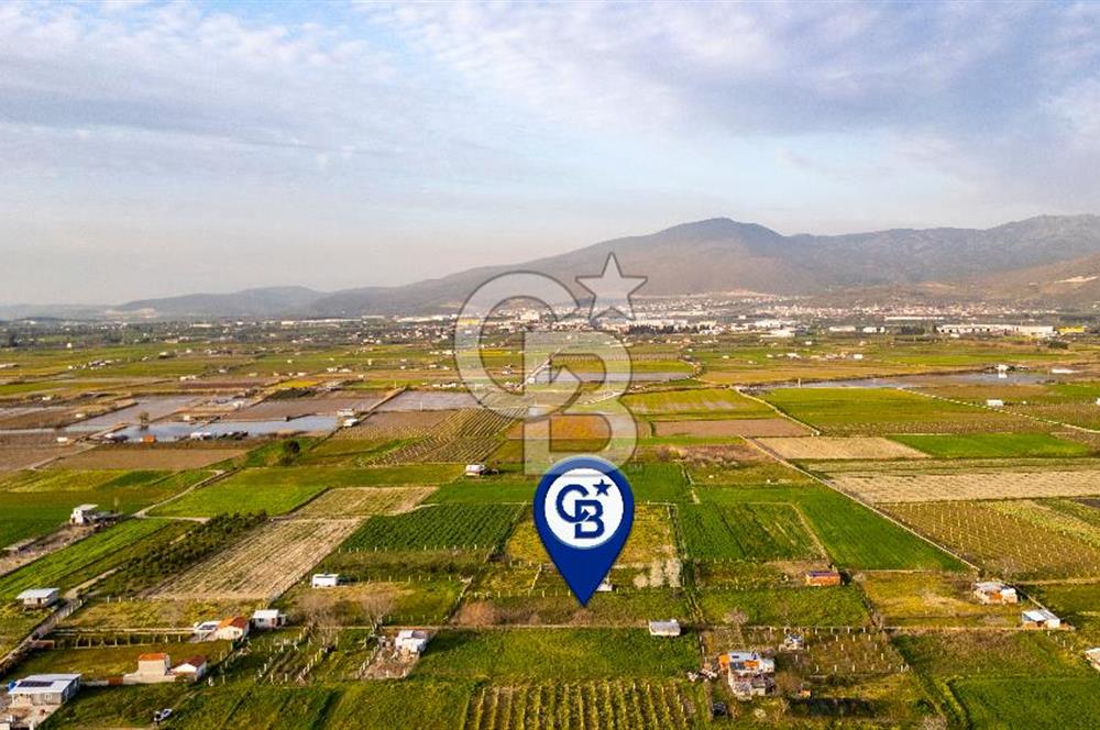 Menemen Buruncukta Satılık Müstakil Tapulu Tarla