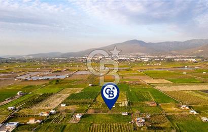 Menemen Buruncukta Satılık Müstakil Tapulu Tarla