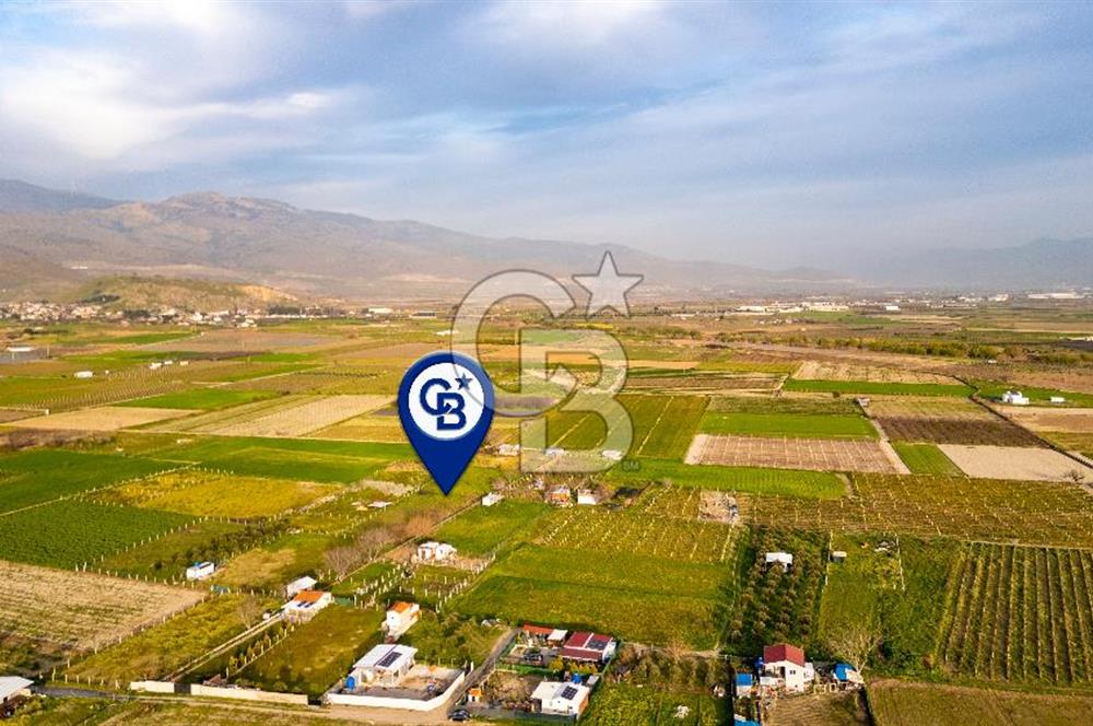 Menemen Buruncukta Satılık Müstakil Tapulu Tarla