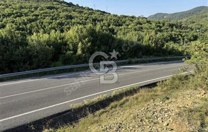 ŞİLE AĞVA GÖKSU'DA 1.077 M2 ANA YOLUN YANINDA SATILIK TARLA