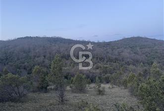 ŞİLE AĞVA GÖKSU'DA 6.960 m2 MÜSTAKİL TAPU SATILIK TARLA - 1 - 338802