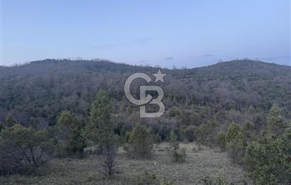 ŞİLE AĞVA GÖKSU'DA 6.960 m2 MÜSTAKİL TAPU SATILIK TARLA