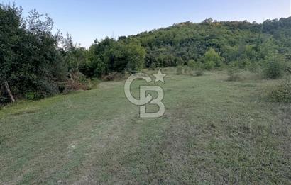 ŞİLE AĞVA'DA 3.863 m2 MÜSTAKİL TAPU SATILIK TARLA