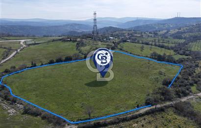 Bergama Maruflar'da Satılık Tarla