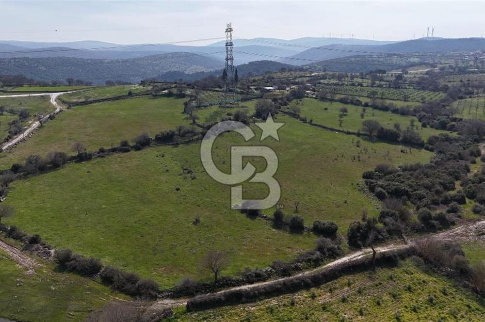 Bergama Maruflar'da Satılık Tarla