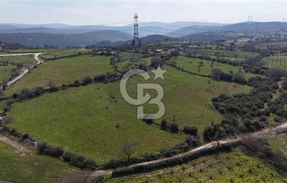Bergama Maruflar'da Satılık Tarla