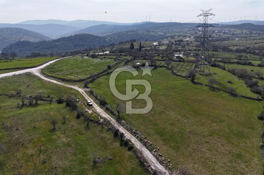 Bergama Maruflar'da Satılık Tarla