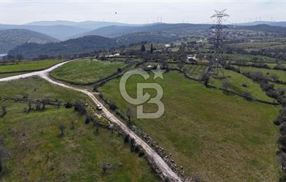 Bergama Maruflar'da Satılık Tarla