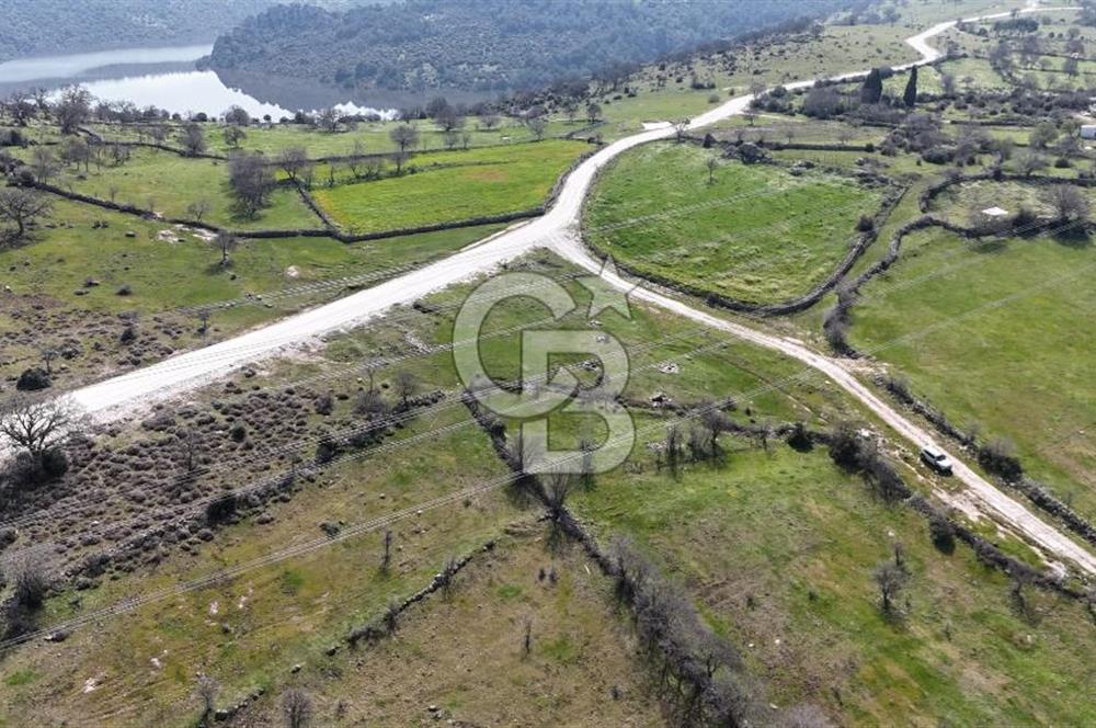 Bergama Maruflar'da Satılık Tarla